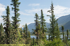 Grayling Lake